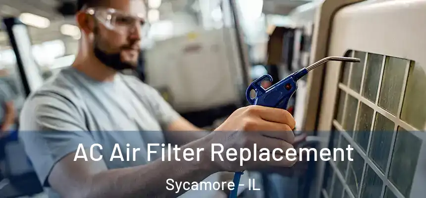  AC Air Filter Replacement Sycamore - IL