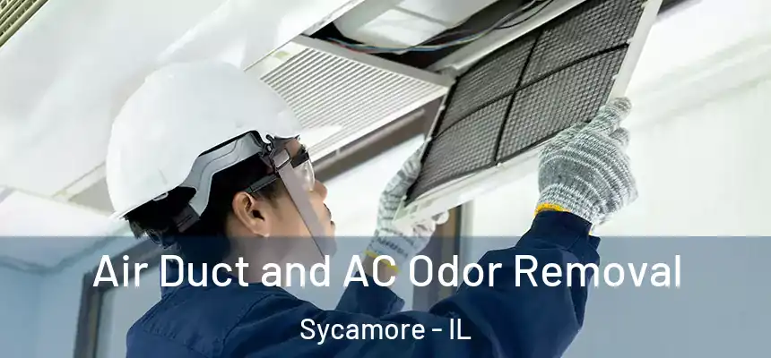  Air Duct and AC Odor Removal Sycamore - IL