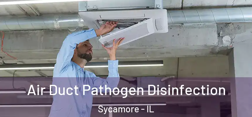 Air Duct Pathogen Disinfection Sycamore - IL