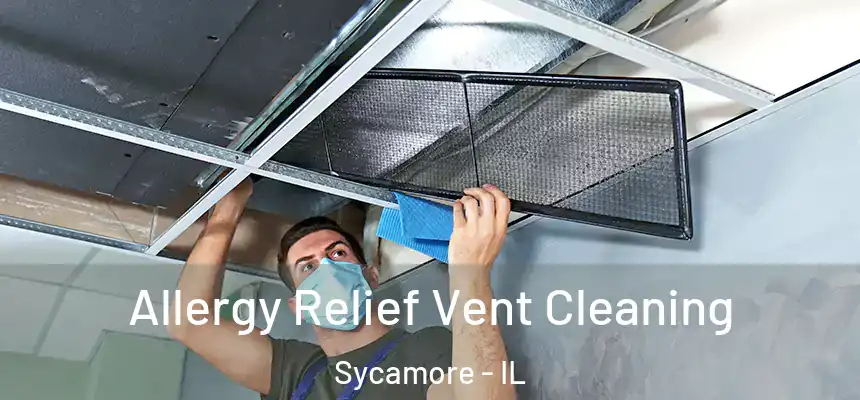  Allergy Relief Vent Cleaning Sycamore - IL