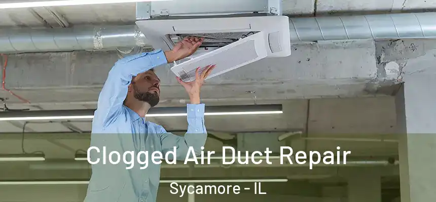  Clogged Air Duct Repair Sycamore - IL