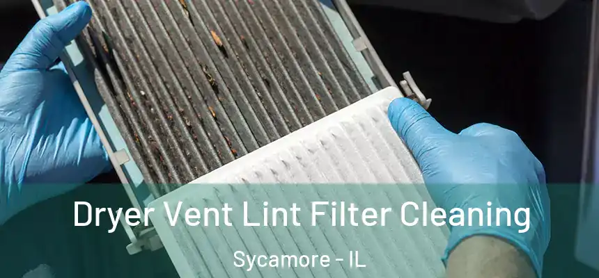  Dryer Vent Lint Filter Cleaning Sycamore - IL