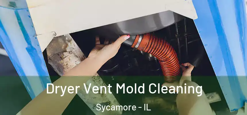  Dryer Vent Mold Cleaning Sycamore - IL