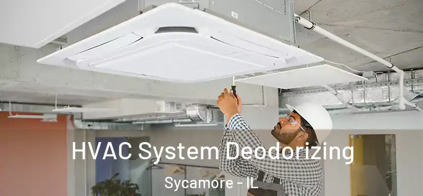  HVAC System Deodorizing Sycamore - IL