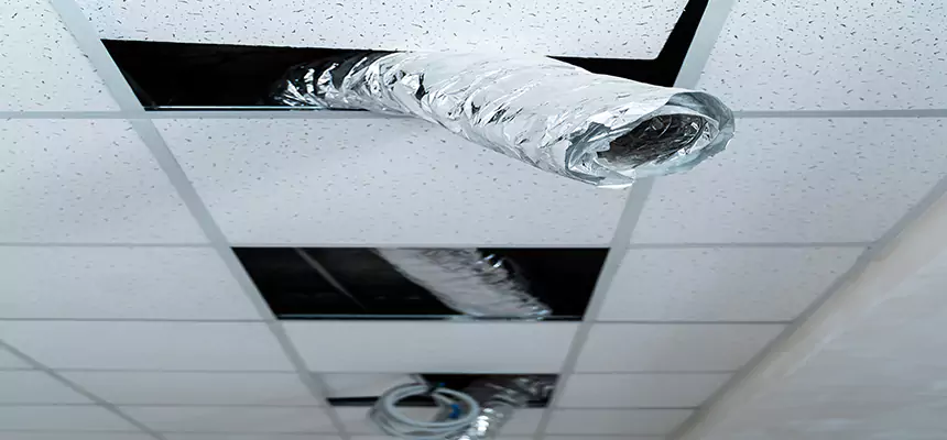 Affordable HVAC Sanitizing After Pest Removal in Sycamore