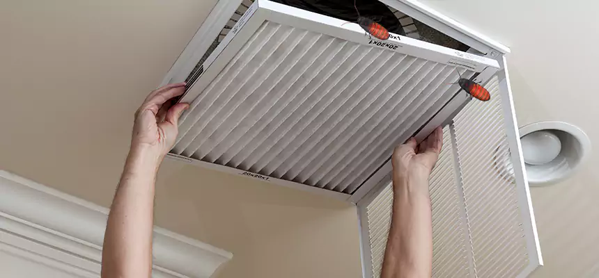 Our Insect Removal from Air Ducts Services in Sycamore, IL