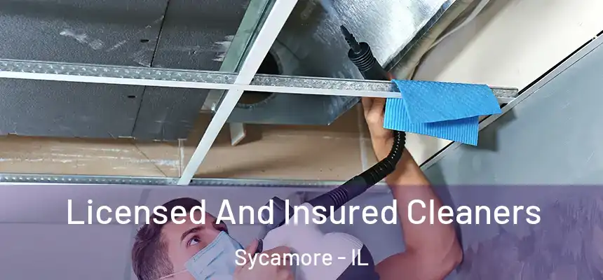  Licensed And Insured Cleaners Sycamore - IL