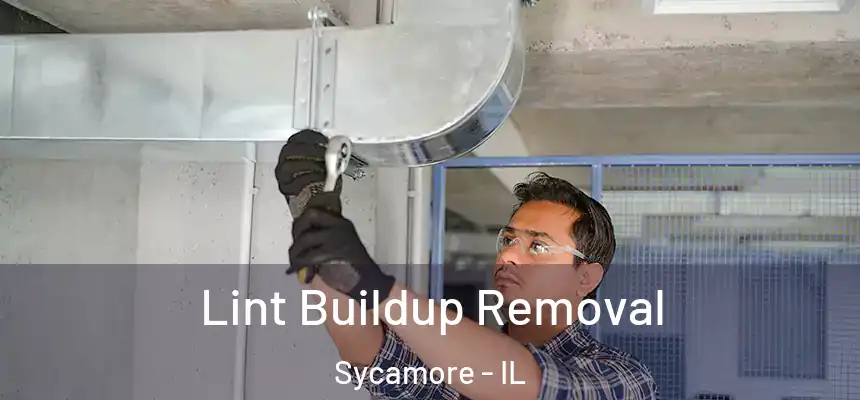  Lint Buildup Removal Sycamore - IL