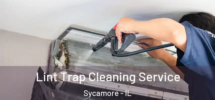  Lint Trap Cleaning Service Sycamore - IL