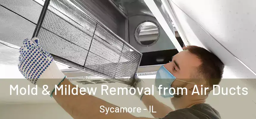  Mold & Mildew Removal from Air Ducts Sycamore - IL