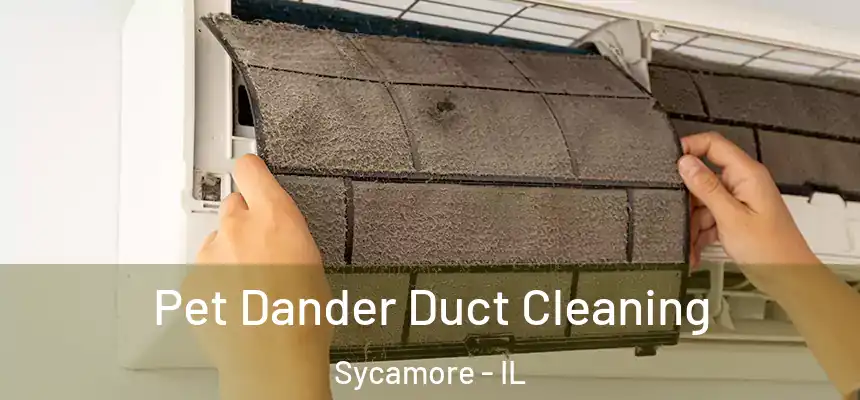  Pet Dander Duct Cleaning Sycamore - IL