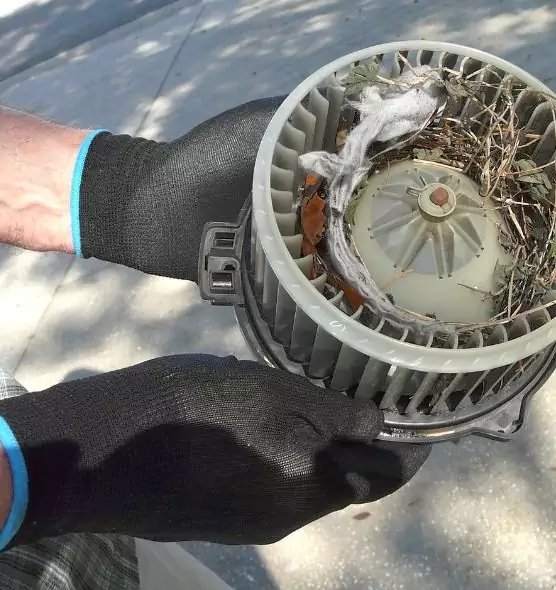 About Air Duct Mice Removal in Sycamore, IL