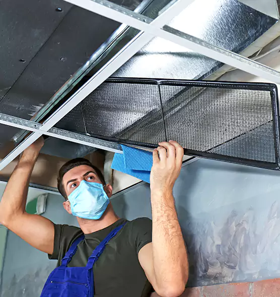 Professional Air Duct Pollen Cleaning in Sycamore, IL