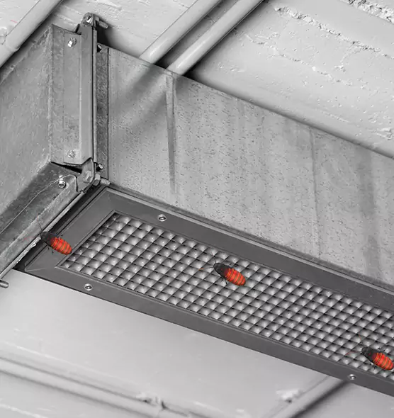 Affordable Insect Removal from Air Ducts in Sycamore, IL