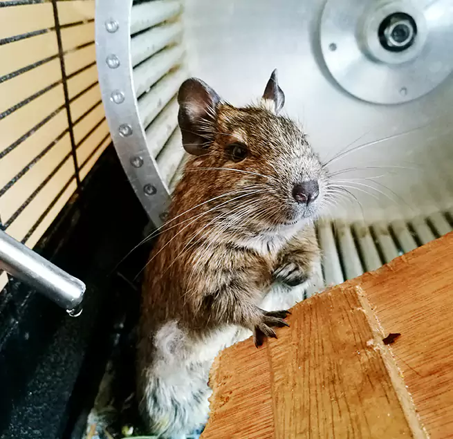 Why Homeowners & Businesses Trust Us Sycamore, IL?