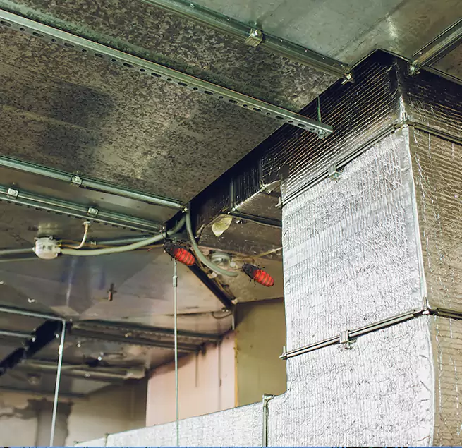 Why Homeowners & Businesses Trust Us Sycamore, IL?