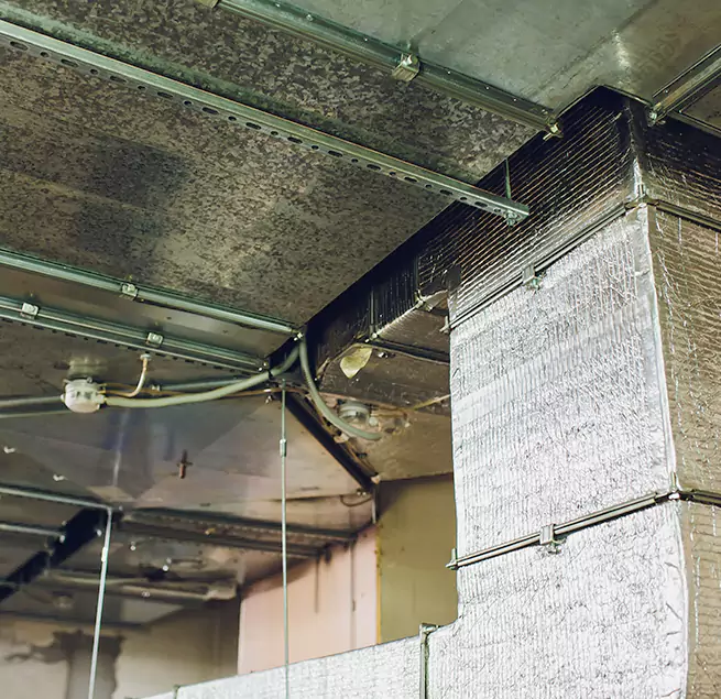 Why Homeowners & Businesses Trust Us in Sycamore, IL?